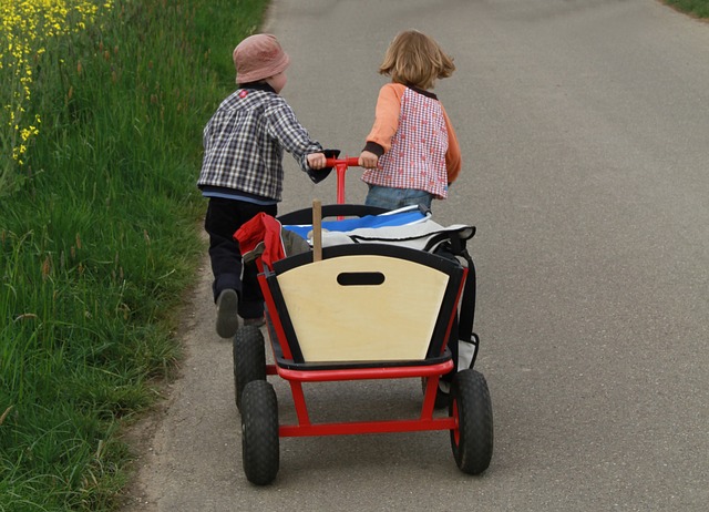 stroller-502934_640.jpg